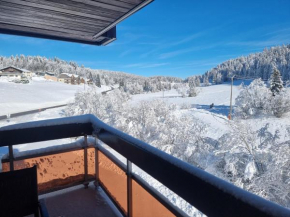 Studio tout confort Lamoura